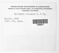 Image Associated With the Occurence